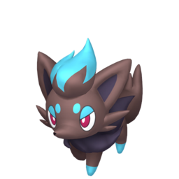 #570 Zorua